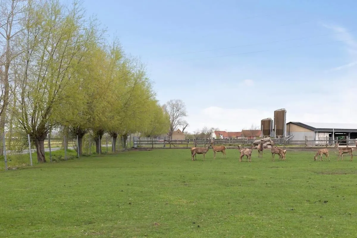 הוילה ברוז' Huswell - Family House With A Beautiful View In Damme בלגיה